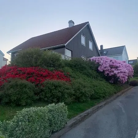 Sentralt Pa Byhaugen, Naer Ons ستافانجر